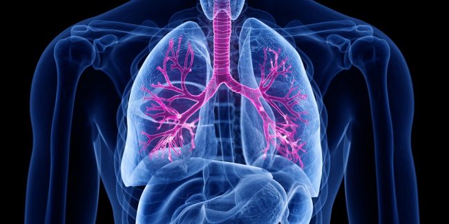 什么是慢性阻塞性肺病 (Chronic Obstructive Pulmonary Disease)，為何與新冠疫情有關？